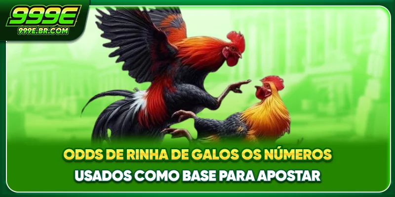 Odds de rinha de galos - Os números usados como base para apostar