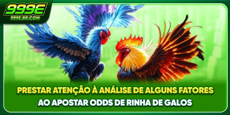 Prestar atenção à análise de alguns fatores ao apostar Odds de rinha de galos